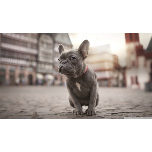 Preču sadaļa - 3.1