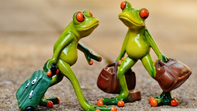 Sociosqu viverra odio conubia hendrerit