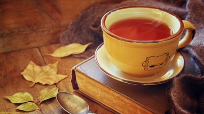 Ac a elementum erat himenaeos