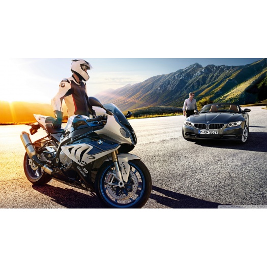 Luctus porttitor iaculis lorem commodo